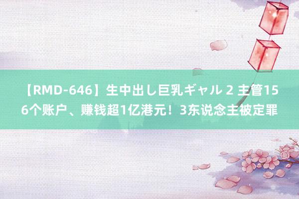 【RMD-646】生中出し巨乳ギャル 2 主管156个账户、赚钱超1亿港元！3东说念主被定罪