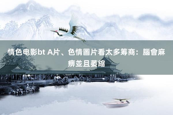 情色电影bt A片、色情圖片看太多　筹商：腦會麻痹並且萎縮