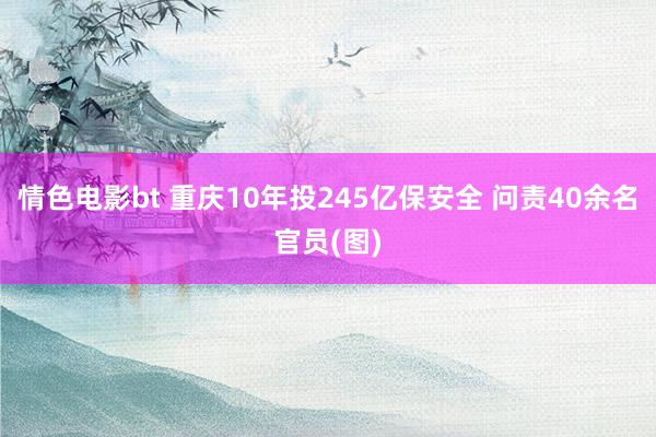 情色电影bt 重庆10年投245亿保安全 问责40余名官员(图)