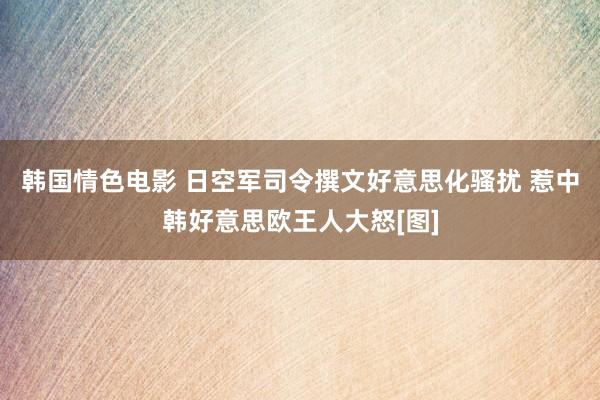 韩国情色电影 日空军司令撰文好意思化骚扰 惹中韩好意思欧王人大怒[图]