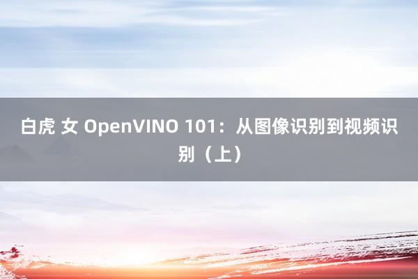 白虎 女 OpenVINO 101：从图像识别到视频识别（上）