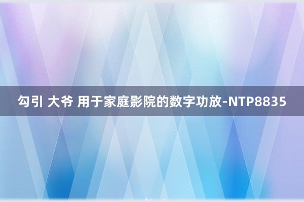 勾引 大爷 用于家庭影院的数字功放-NTP8835